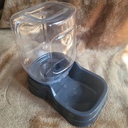 Small Dog Feeder