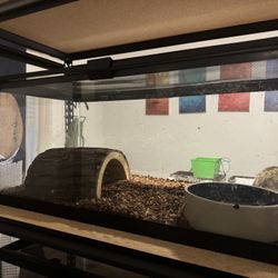 Tanks – Multiple Sizes (40g, 20g, 10g) – Clean, No Leaks”