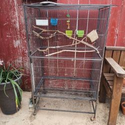 Bird Cage