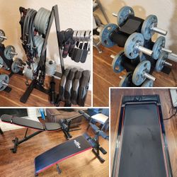 Complete Dumbell Based Home Office Gym With  Walking Pad