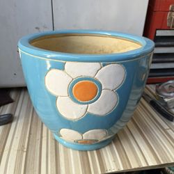Vendo Maceta Vacia Y Plantas De Differences Precios Y Tamaños Mire Todas Las Fotos 