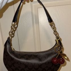 Coach Payton Hobo Bag 