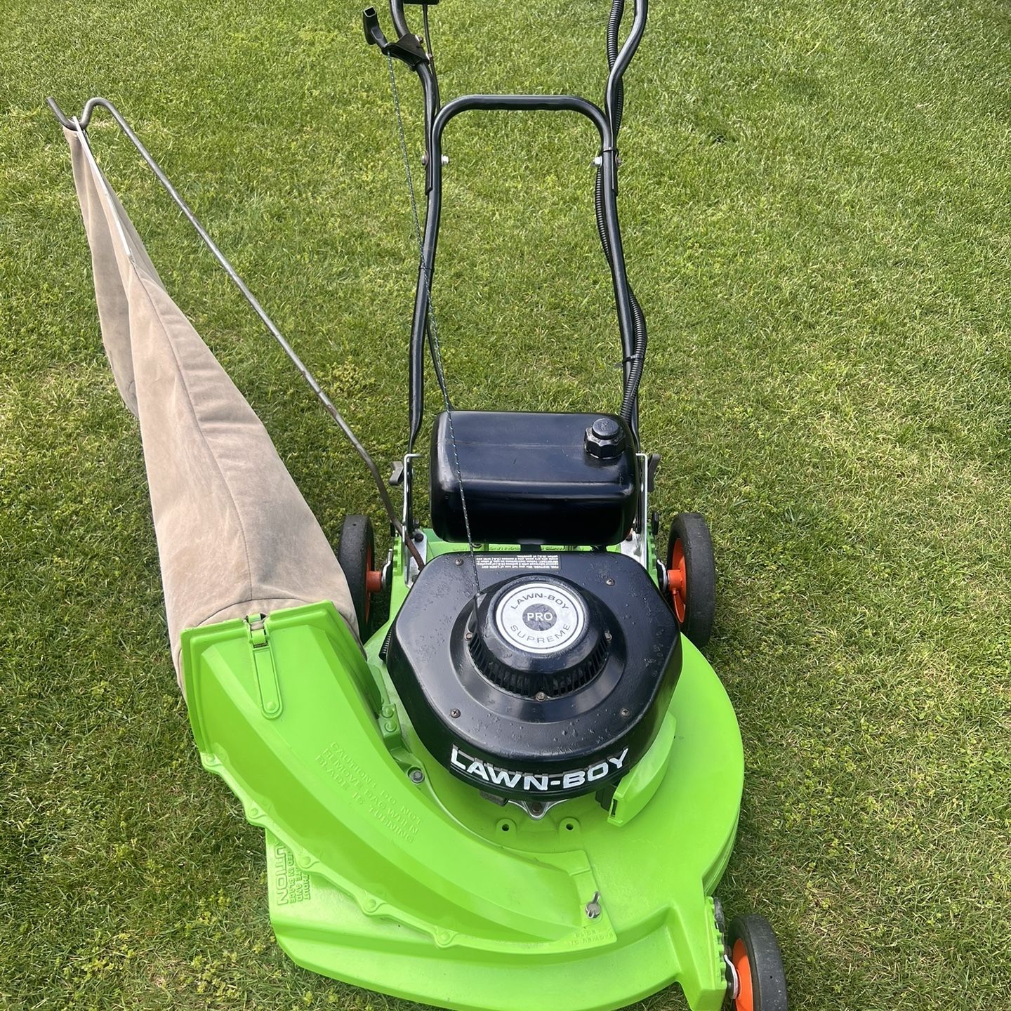 Lawn boy for sale hot sale