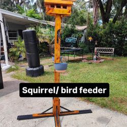 Squirrel / Bird Feeder 