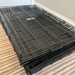Dog Cage 