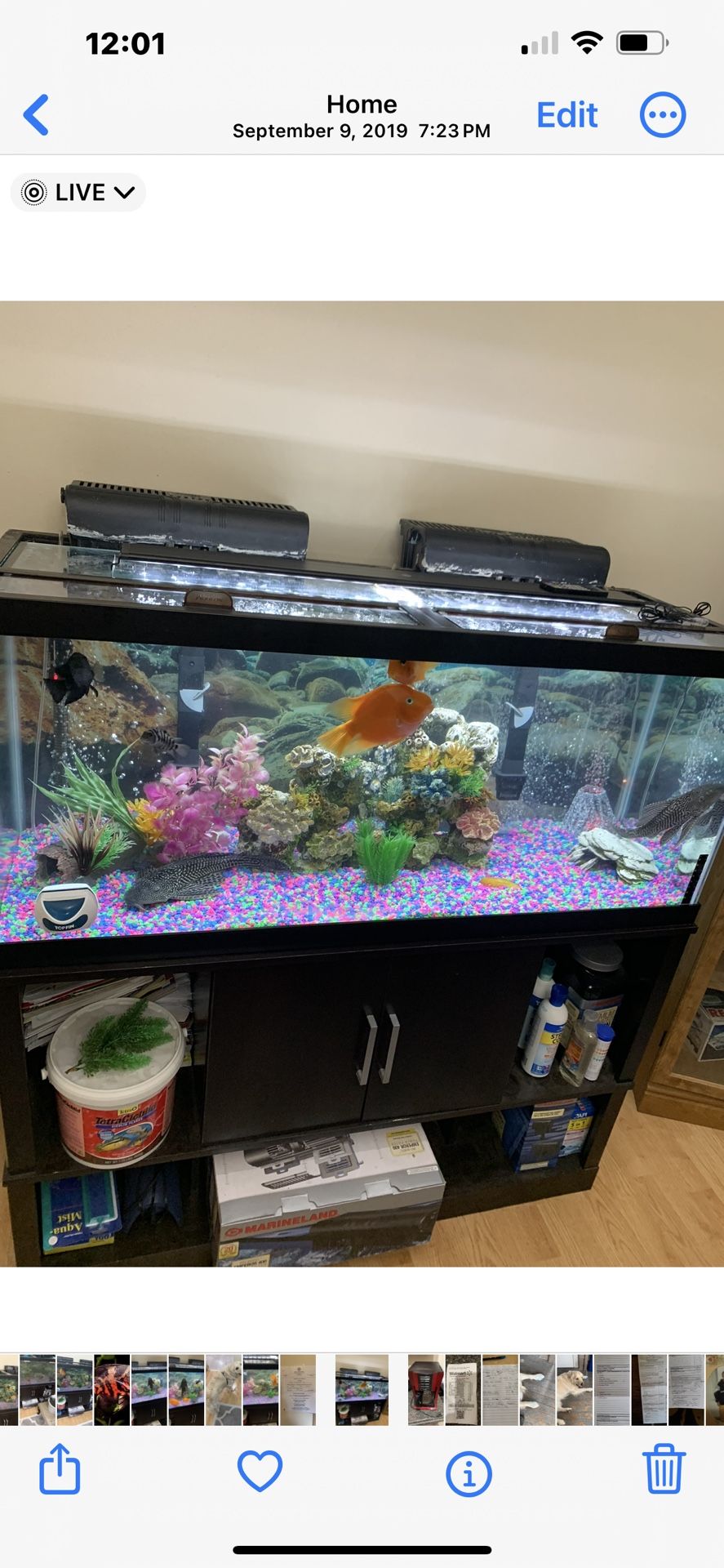 75 Gallon Tank With Stand 