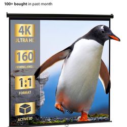 120 Inch Projector Screen