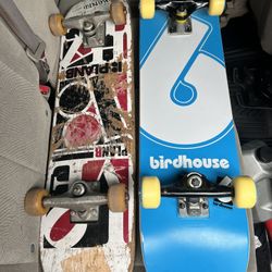 Birdhouse And Plan B Skateboard 