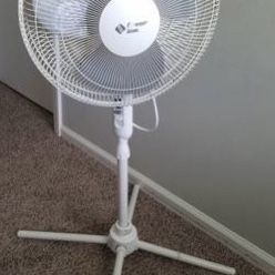 Nice Fan