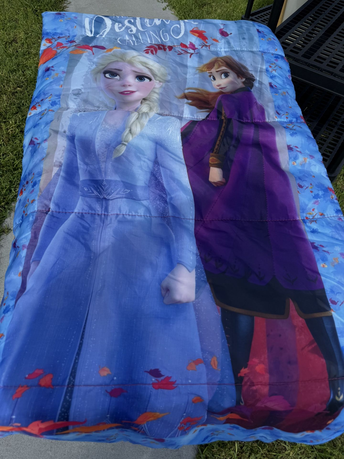 Frozen Sleeping Bag