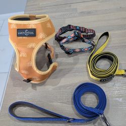 Dog Collars And Leashes