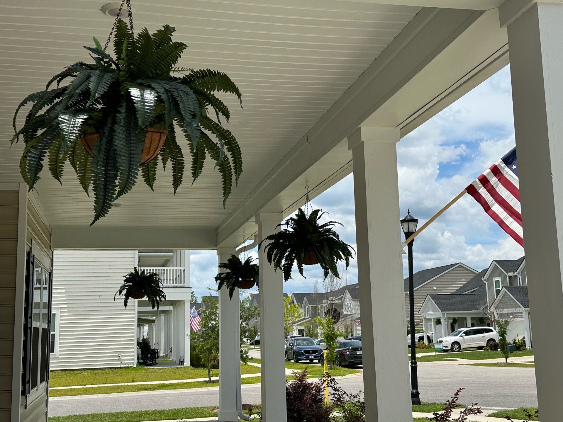 Ho2NLE Artificial Ferns with hanging basket