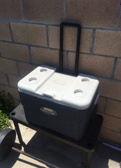 Beverage cooler