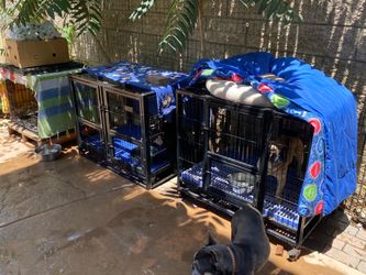 Foldable Dog metal crates wit multiple doors