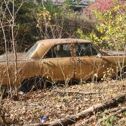 1965 And 1964 1/2 4 Door Novas Parts Only