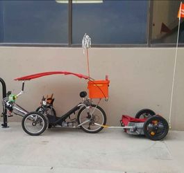Cattrike Speed 1st gen