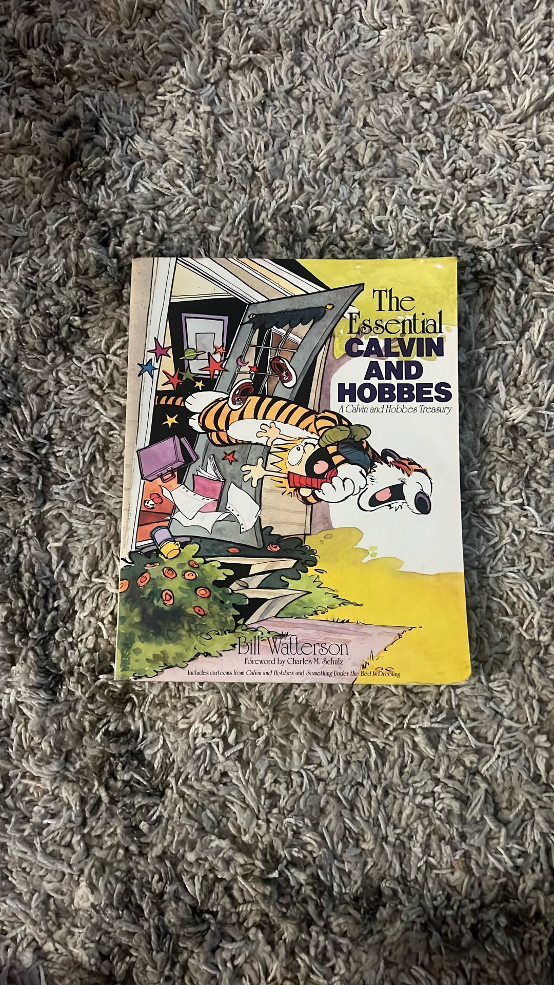 The Essential Calvin And Hobbes