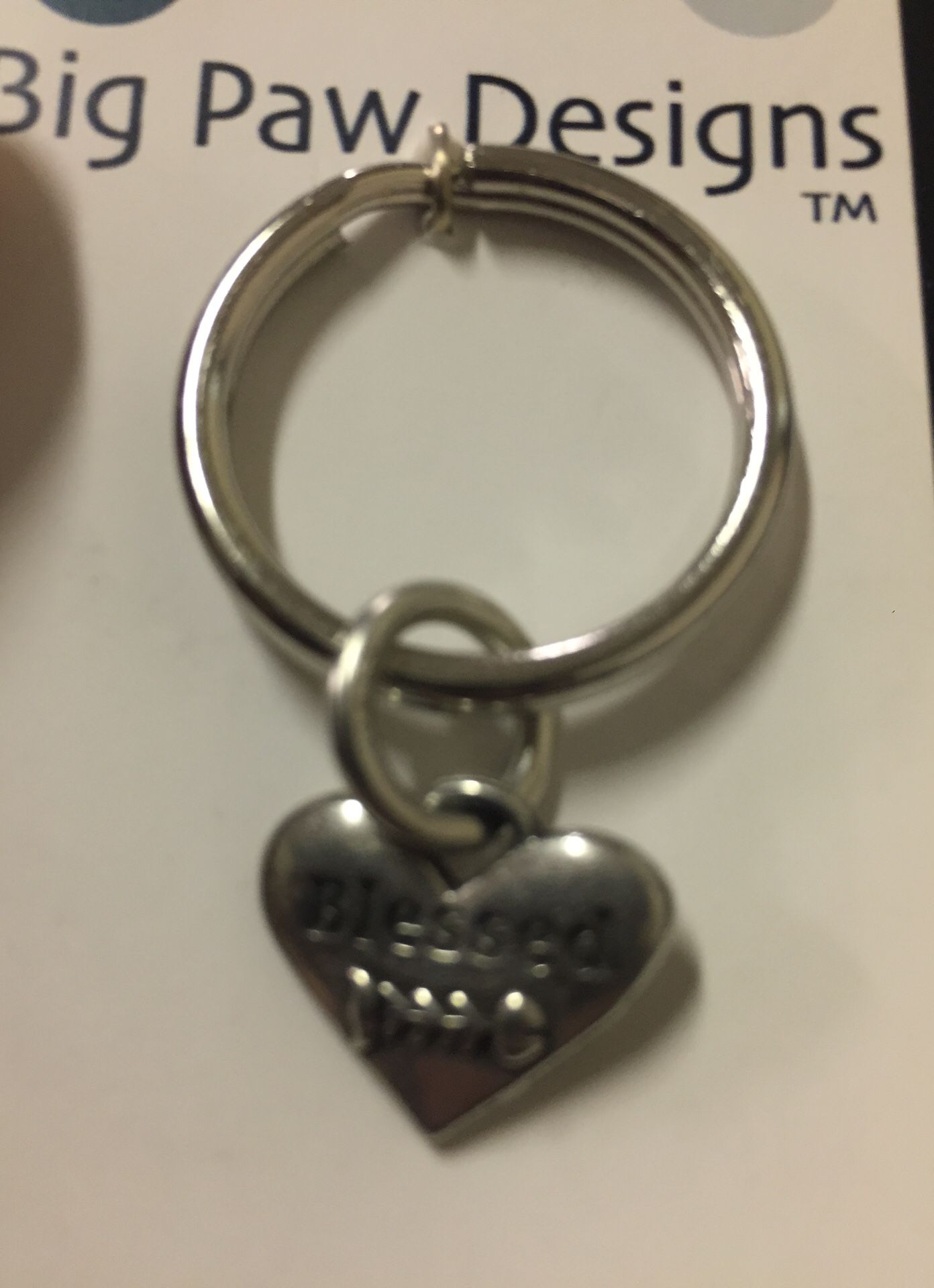 BLESSED keychain with fishbone for cat lovers