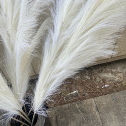 Feathers For Vase 8 Feathers 