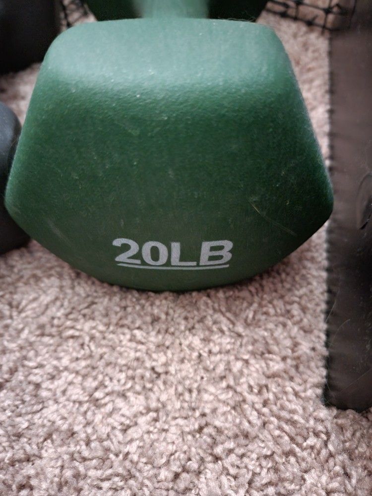 20lb Dumbell