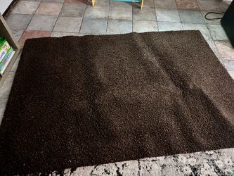 Small Area Rug