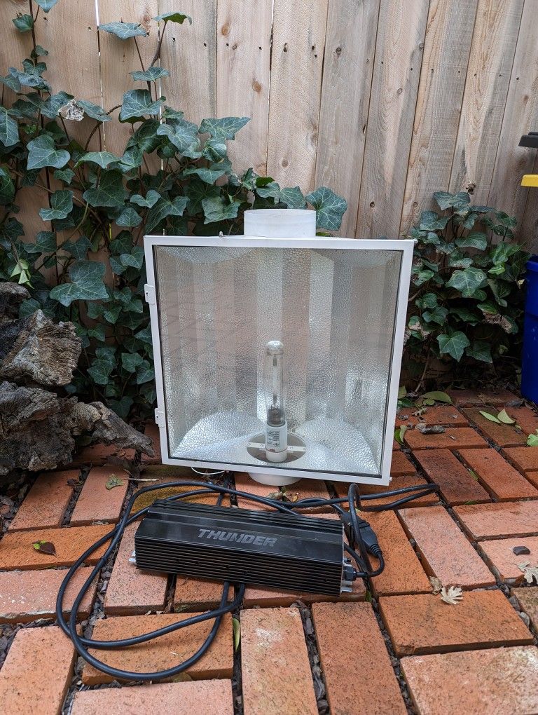 Grow Light With A Ballast 1000W