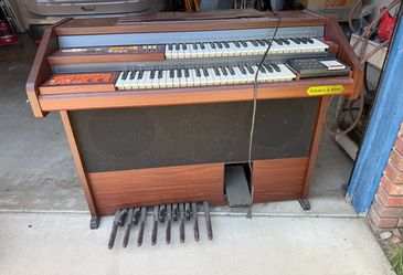 Organ