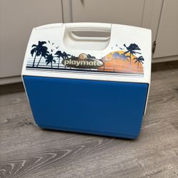 Igloo Playmate Cooler Elite Passive 
