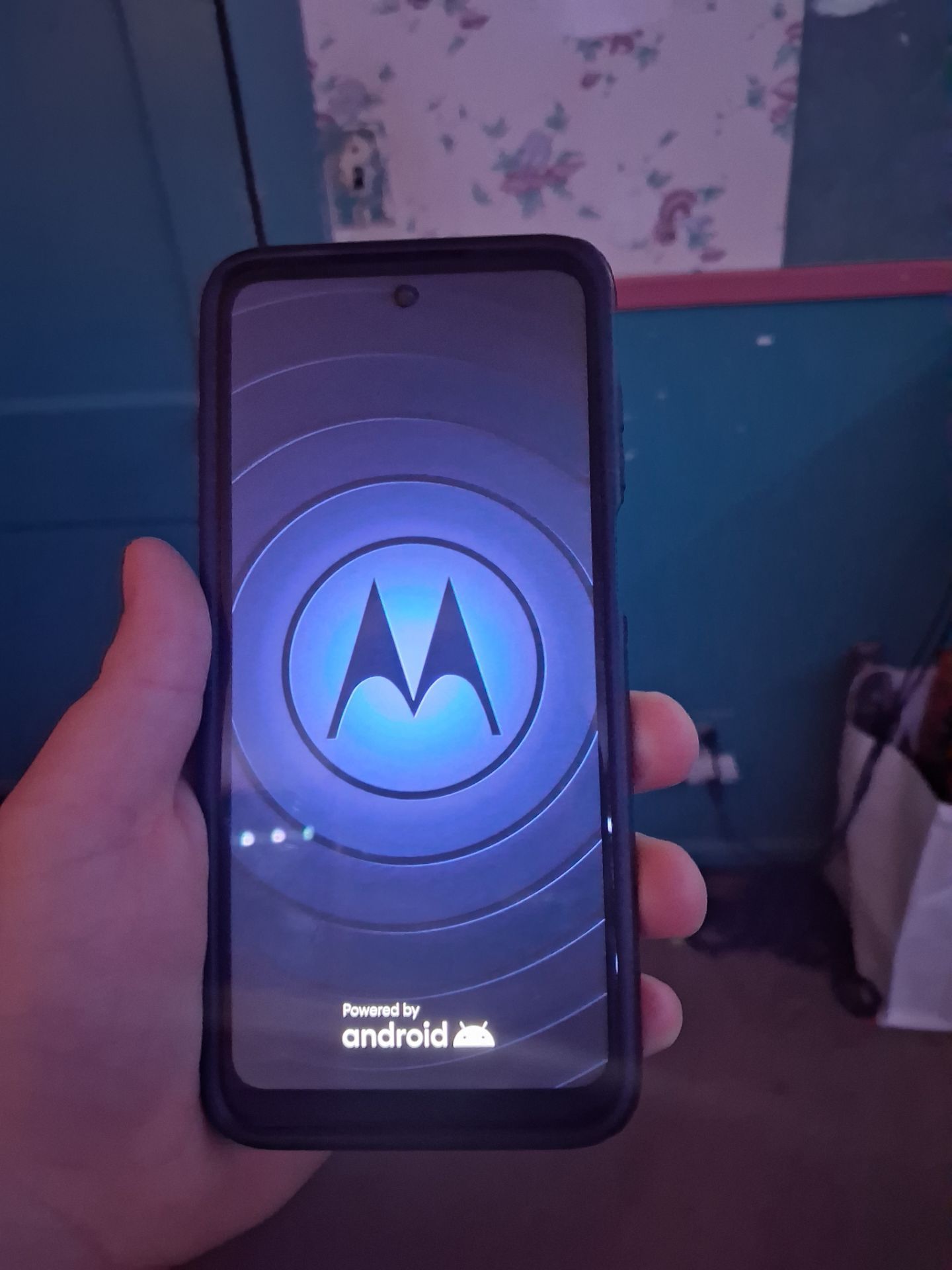 Motorola g play 2024