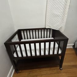 Portable Bassinet 