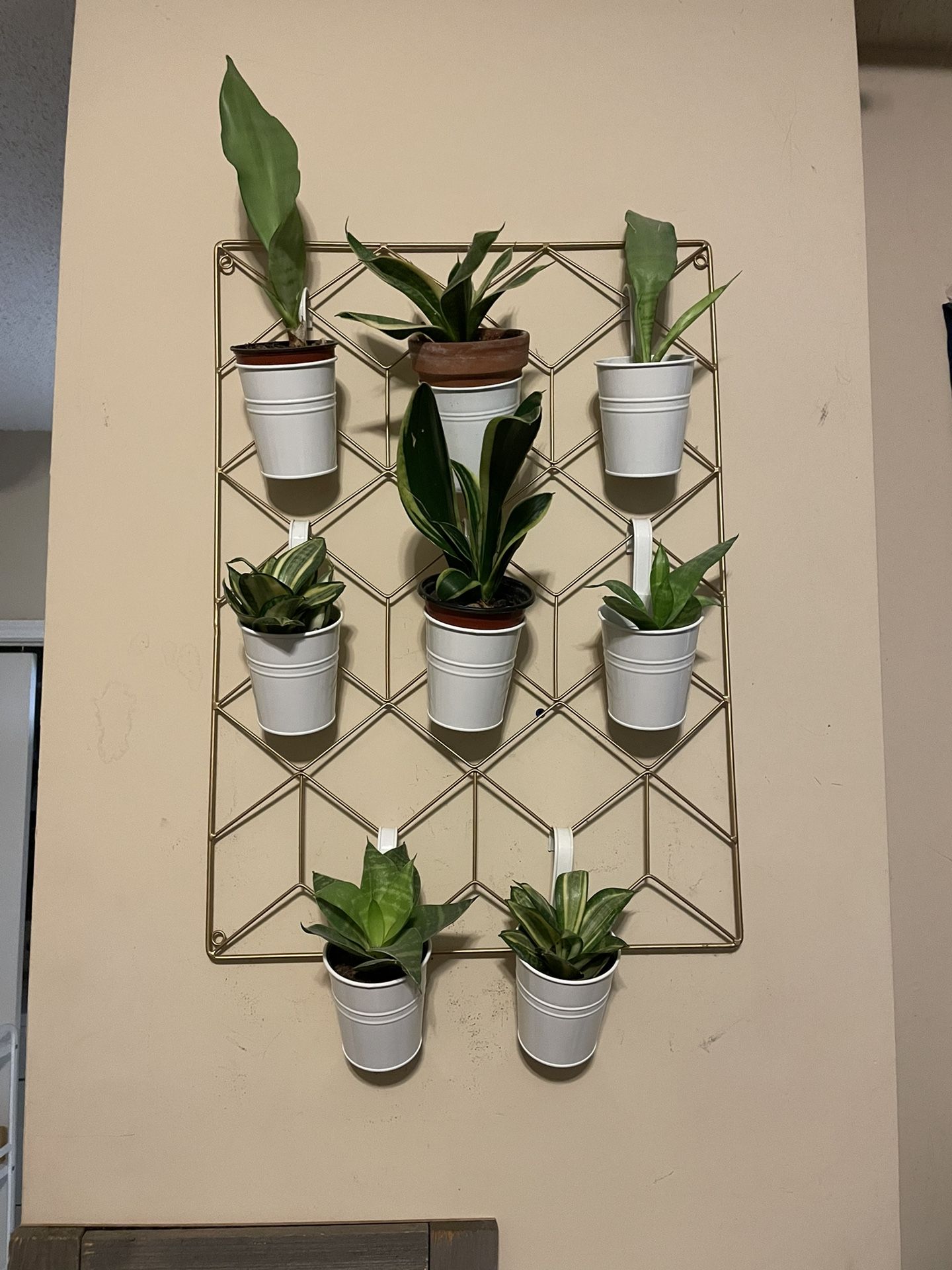Living Art | Wall Planter | Convert Your Plants Into Wall Art