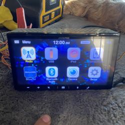 Double Din Alpine 