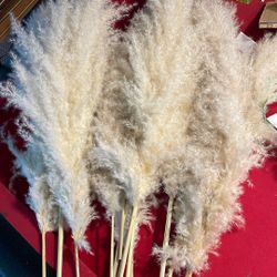 Pampas Grass For Wedding 