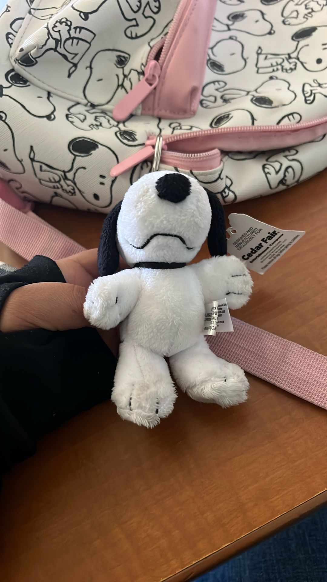 Real Snoopy Plushie Small