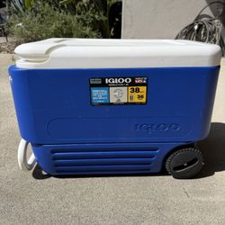 Igloo Cooler 38 Quarts