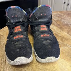 Lebron 17 ‘James Gang’ Size 14 Men