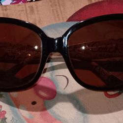 Coach Sun glasses