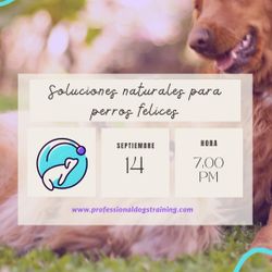 Clase Gratis. Soluciones Naturales Para Perros Felices. 