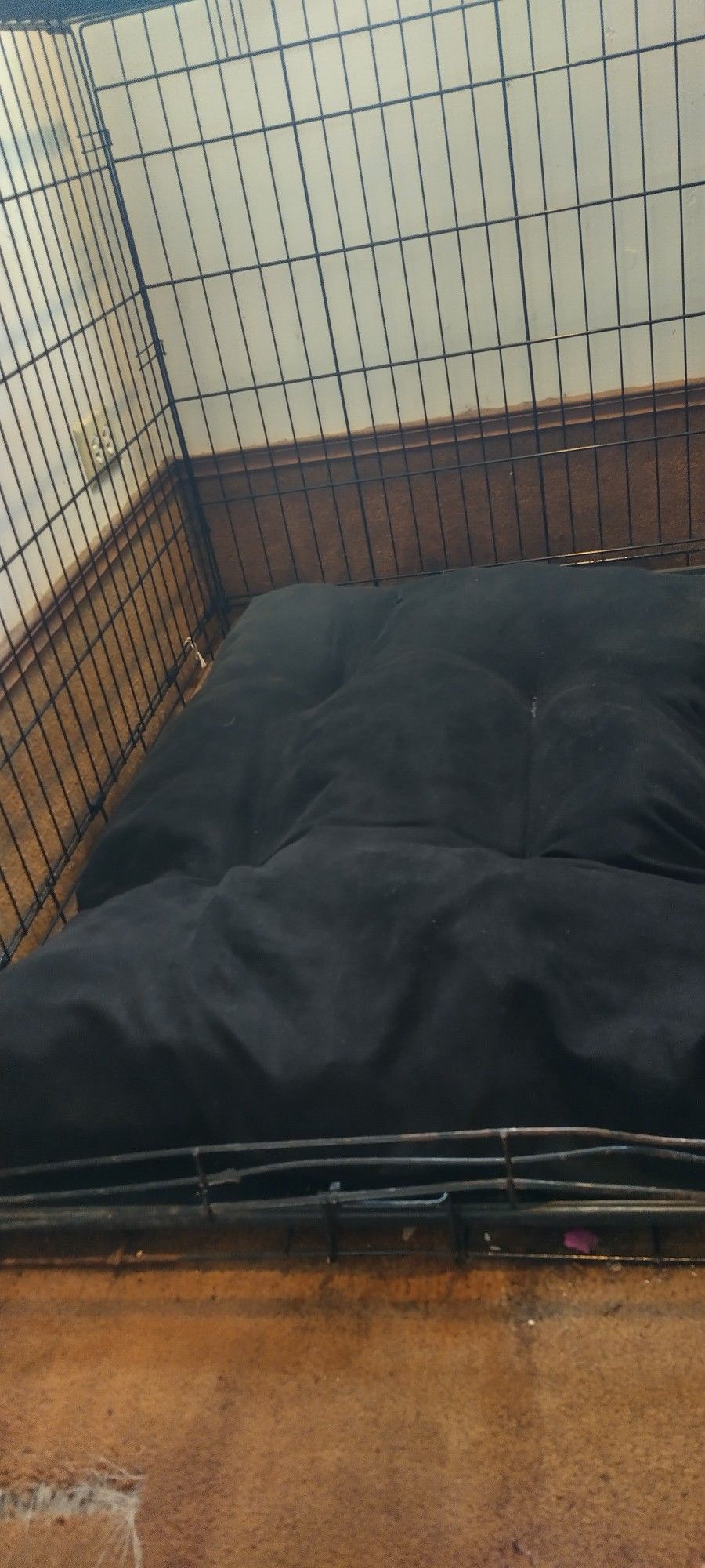 Large Dog Bed