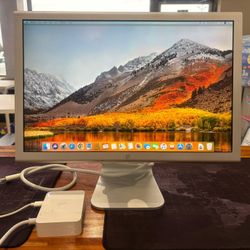 Apple Cinema 20” A1081 AntiGlare Fully Functional