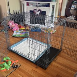 Dog Crate by Modern Puppies 