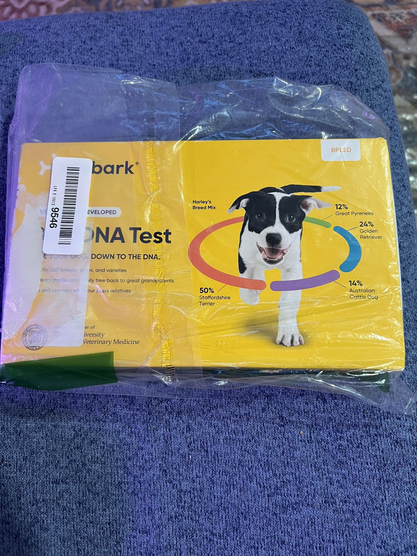 Embark Pet DNA test