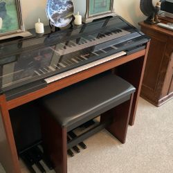 Electric Organ 