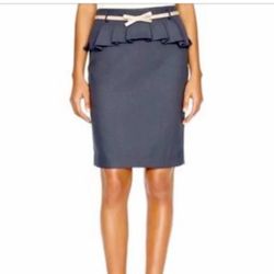 The limited Skirt Size 0