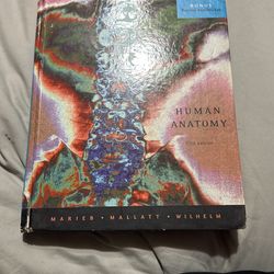 Human Anatomy