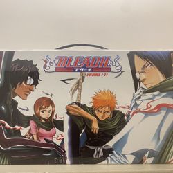 Bleach Box Set (Vol. 1-21)