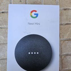Google Nest Mini 2nd Gen