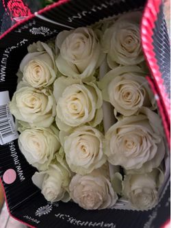 Roses