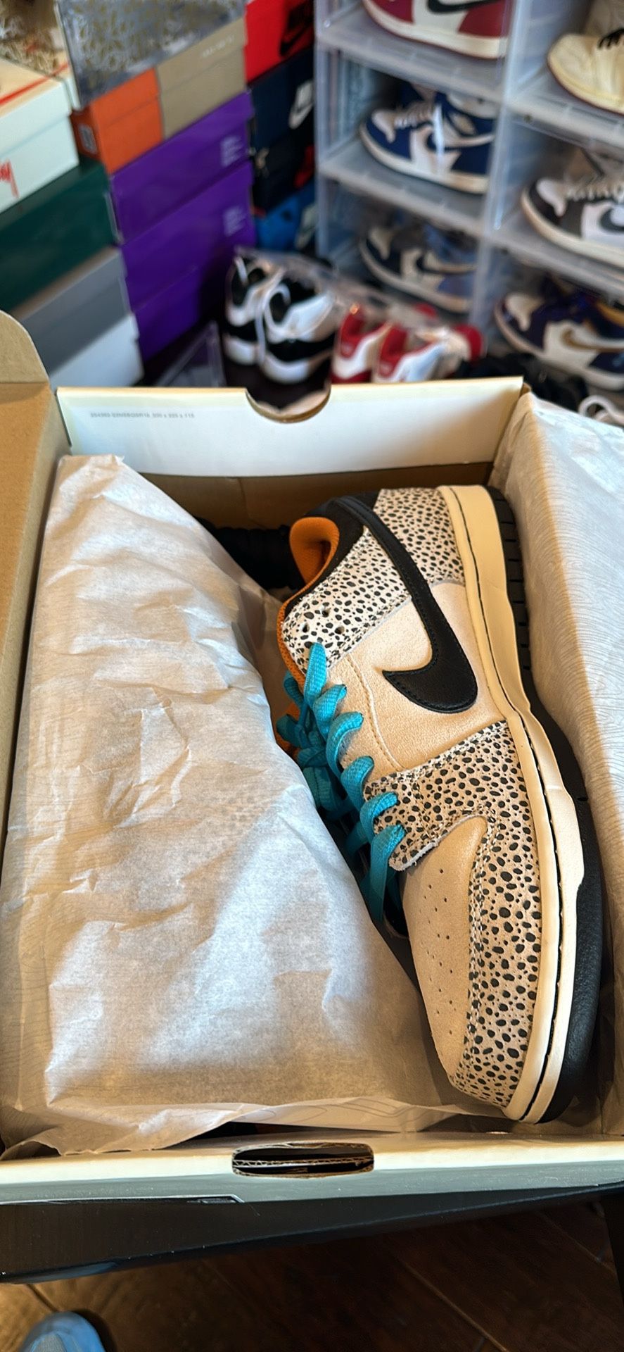 Safari Dunks Size 11