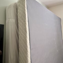 Queen Mattress And Spring Board 